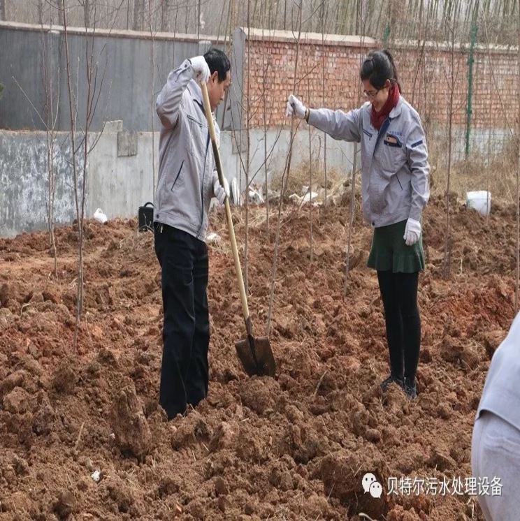 贝特环保开展“积极参加义務(wù)植树，建设美丽贝特环保”活动